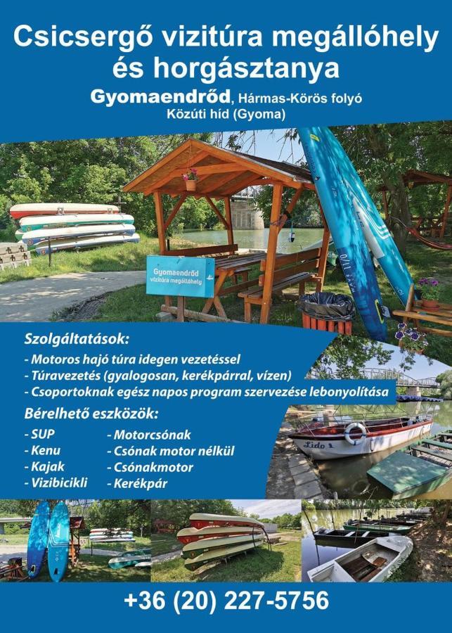 Zsuzsanna Vendeghaz Hotell Gyomaendrőd Exteriör bild