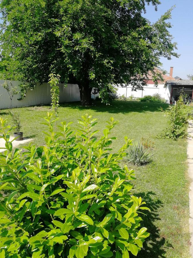 Zsuzsanna Vendeghaz Hotell Gyomaendrőd Exteriör bild